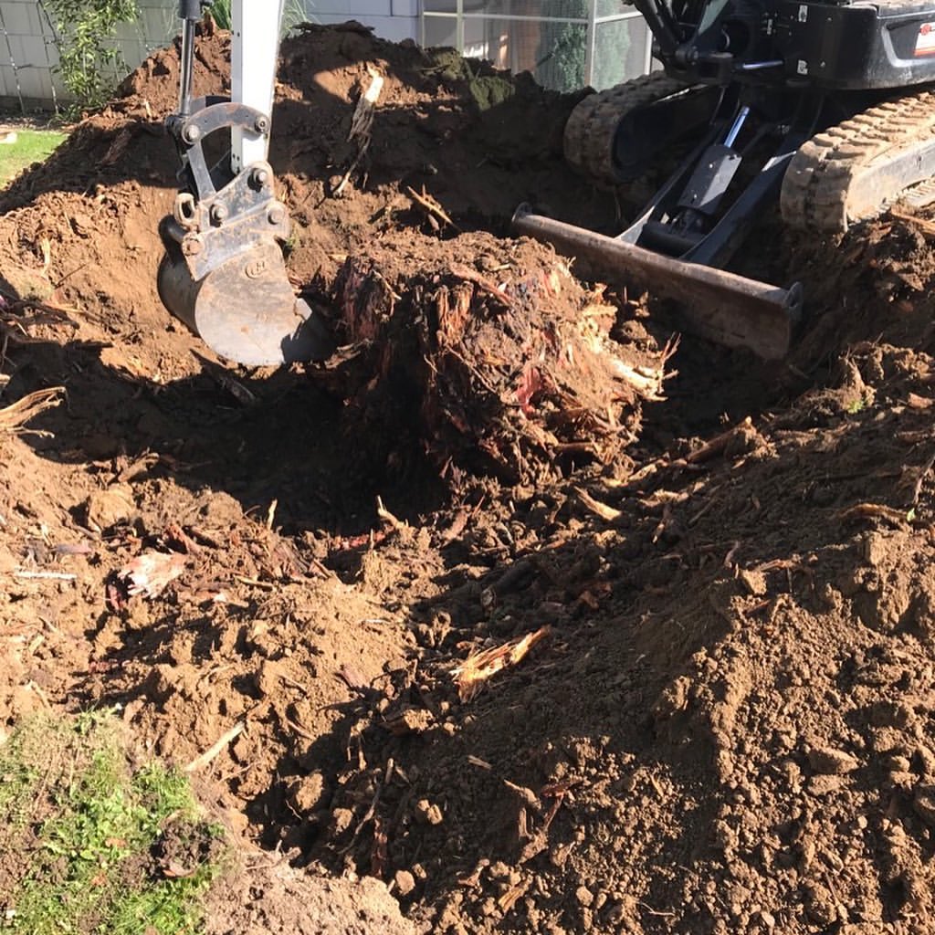 Wörner Baggerarbeiten Ihr zuverlässiger und termingerechter Partner für Erdbau-, Abbruch- und Gartenbauarbeiten sowie Lohnarbeiten für Privat- und Gewerbekunden in Leinfelden-Echterdingen und Umgebung.