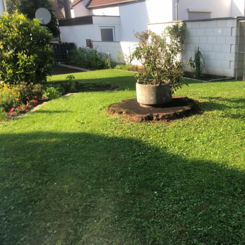 wörner gartenbau baggerarbeiten Leinfelden-Echterdingen erdarbeiten für garten geländemodellierung garten außenanlagen modellieren vorbereitende gartenbauarbeiten vorbereitende erdarbeiten garten zufahrten und wege anlegen terrassen vorbereiten und bauen pflasterarbeiten garten naturstein verlegen garten rasenkanten setzen vorbereitung rollrasen vorbereitung rasenfläche entwässerungsarbeiten garten fundamentarbeiten gartenhaus fundament für zaun fundament für carport / pergola